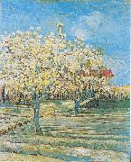 Vincent Van Gogh Flowering orchard USA oil painting artist